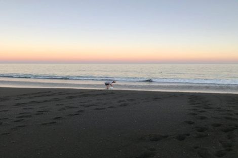 Photo of property in 223 Whirinaki Road, Eskdale, Napier, 4182