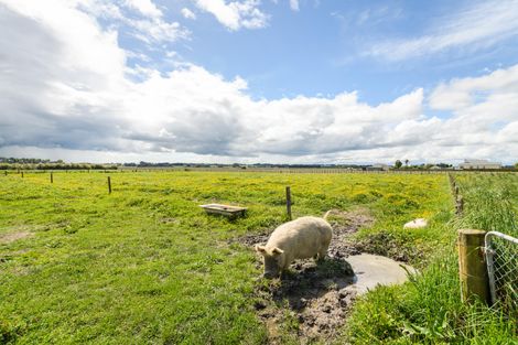 Photo of property in 436 Green Road, Rongotea, Palmerston North, 4476