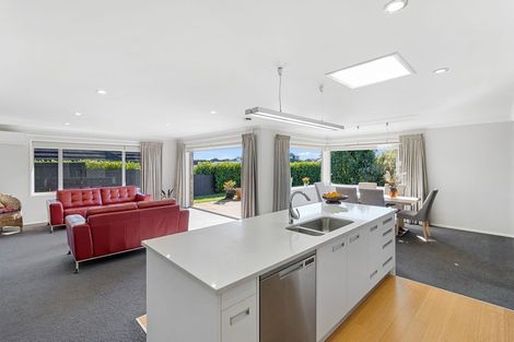 Photo of property in 19 Bentley Rise, Flagstaff, Hamilton, 3210