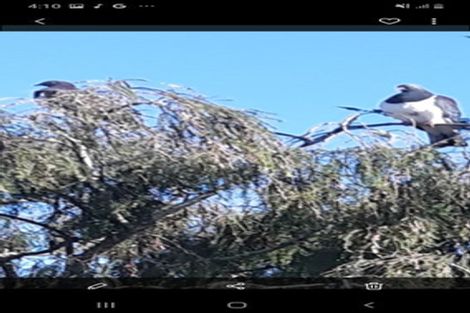 Photo of property in 184 Parapara Rd (state Highway 4), Raetihi, Whanganui, 4573