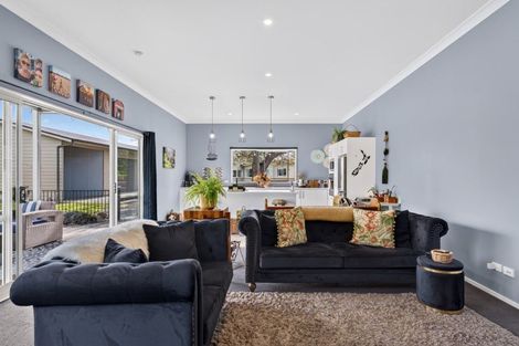 Photo of property in 353 Te Aute Road, Pukahu, Hastings, 4172