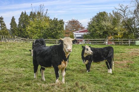 Photo of property in 18 Old State Mill Road, Mamaku, 3020