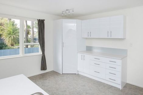 Photo of property in 287 Ormond Road, Mangapapa, Gisborne, 4010