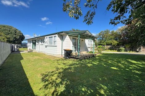 Photo of property in 136 Stanford Street North, Ashhurst, 4810