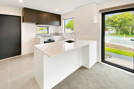 Photo of property in 1/25 Marlborough Street, Phillipstown, Christchurch, 8011