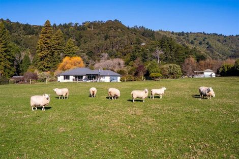 Photo of property in 89 Hillwood Drive, Wakapuaka, Nelson, 7071