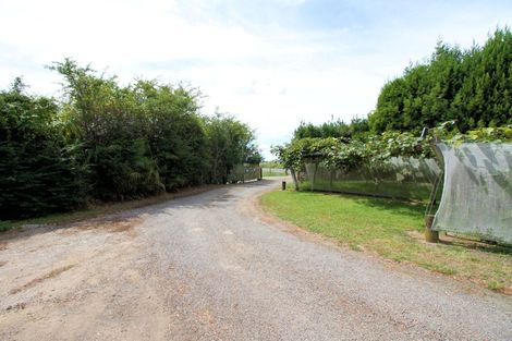 Photo of property in 92 Rangiuru Road, Rangiuru, Te Puke, 3188