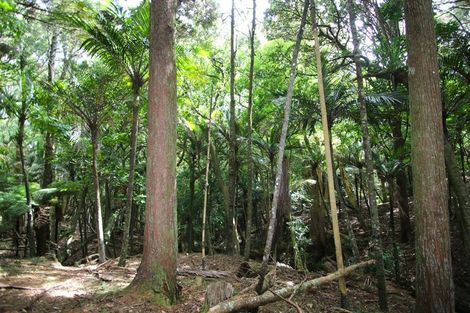 Photo of property in 1267 Church Road, Kaingaroa, Kaitaia, 0482