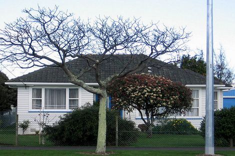 Photo of property in 147 Queen Street West, Levin, 5510