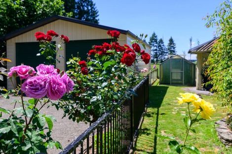 Photo of property in 493 Whirinaki Road, Galatea, Murupara, 3079