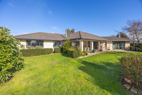 Photo of property in 417 Parklands Road, Rotoorangi, Te Awamutu, 3879