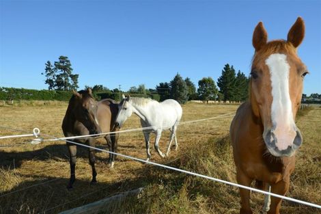 Photo of property in 860 Two Chain Road, Swannanoa, Rangiora, 7475
