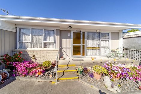 Photo of property in 17 Guildford Street, Tamatea, Napier, 4112