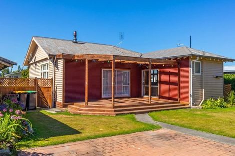 Photo of property in 20 Taylor Street, Geraldine, 7930