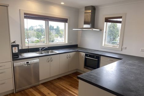 Photo of property in 113 Pembroke Street, Hamilton Lake, Hamilton, 3204