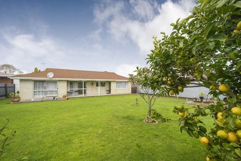 Photo of property in 80 John F Kennedy Drive, Milson, Palmerston North, 4414