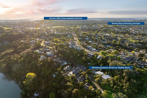Photo of property in 45 Pohutukawa Avenue, Shelly Park, Auckland, 2014