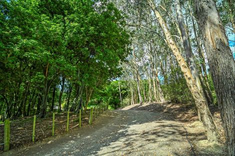 Photo of property in 445 Anaroa Road, Raukawa, Hastings, 4174