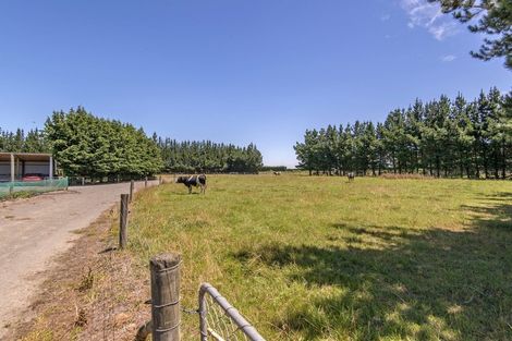 Photo of property in 215 Harmans Road, Leeston, 7682