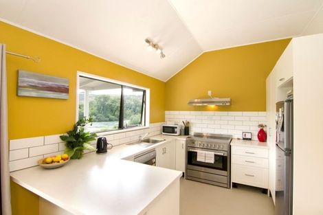 Photo of property in 43 Cheviot Street, Roxburgh, 9500