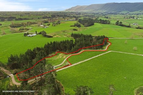 Photo of property in 86 Te Tuhi Road, Okauia, Matamata, 3471