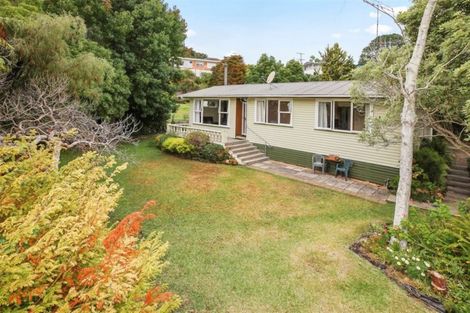 Photo of property in 300 The Terrace, Thames, 3500