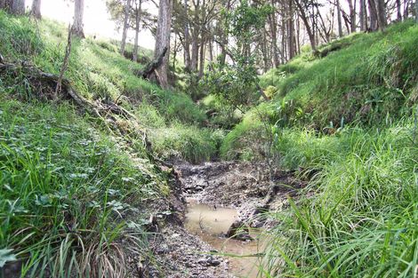 Photo of property in 210g Pukenui Road, Kaiwaka, 0573