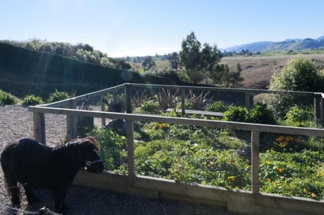 Photo of property in 9 Money More Place, Wakefield, 7095