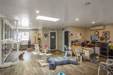 Photo of property in 222 Main Road South, Raumati South, Paraparaumu, 5032