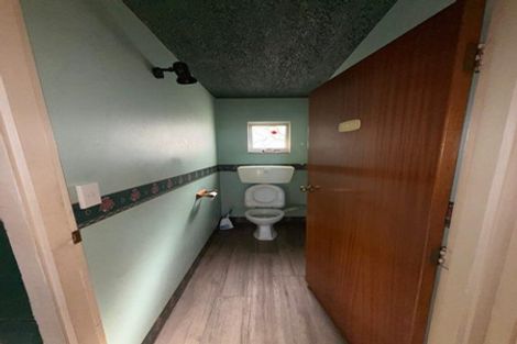 Photo of property in 545 South Road, Calton Hill, Dunedin, 9012