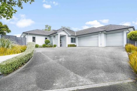 Photo of property in 16 Bree Place, Flagstaff, Hamilton, 3210