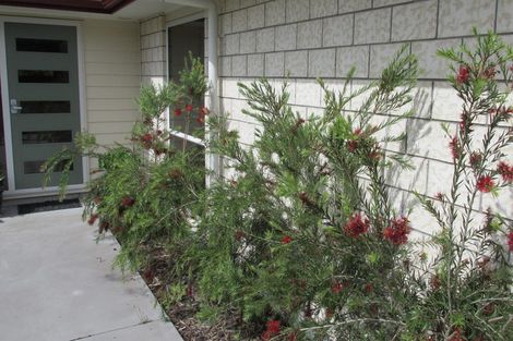 Photo of property in 469e Minden Road, Minden, Tauranga, 3176