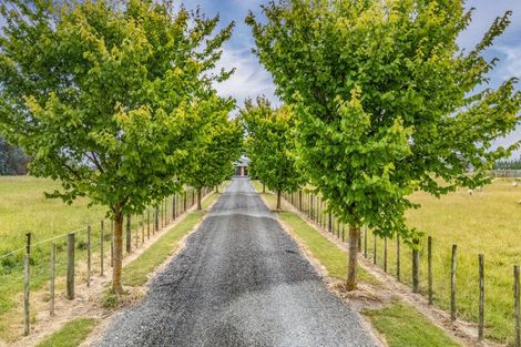 Photo of property in 29 Carters Line, Parkvale, Carterton, 5792