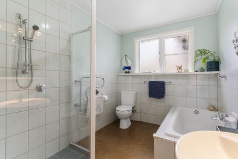 Photo of property in 22 Larsen Road, Panmure, Auckland, 1072