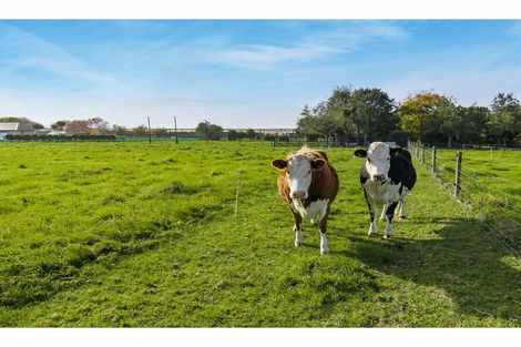 Photo of property in 91 Foley Road, Levels, Timaru, 7975