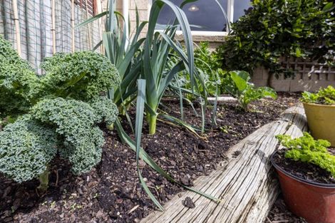 Photo of property in 29 Avion Terrace, Raumati Beach, Paraparaumu, 5032