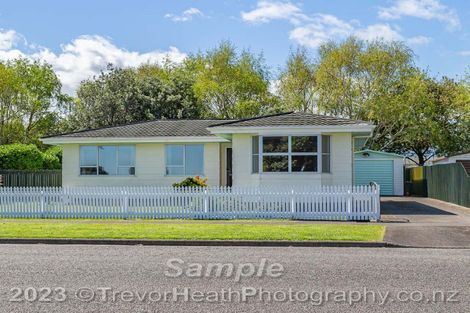 Photo of property in 29 Adkin Avenue, Levin, 5510