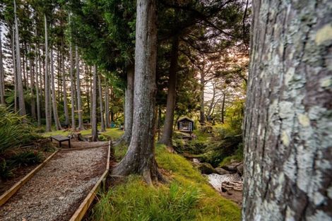 Photo of property in 115 Ngatitangata Road, Waihi, 3681