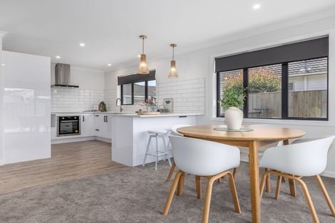 Photo of property in 16a Saint Annes Street, Levin, 5510