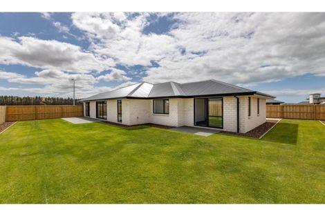 Photo of property in 10 Johnson Avenue, Amberley, 7410