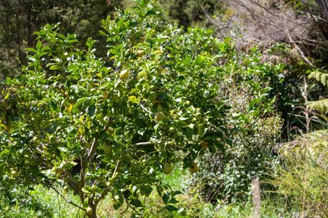 Photo of property in 896a Hikuai Settlement Road, Pauanui, Hikuai, 3579