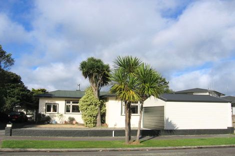Photo of property in 57 Miro Street, Takaro, Palmerston North, 4410