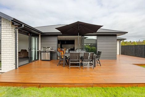 Photo of property in 17 Kereruu Street, Cambridge, 3434