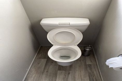 Photo of property in 75c Norton Road, Frankton, Hamilton, 3204