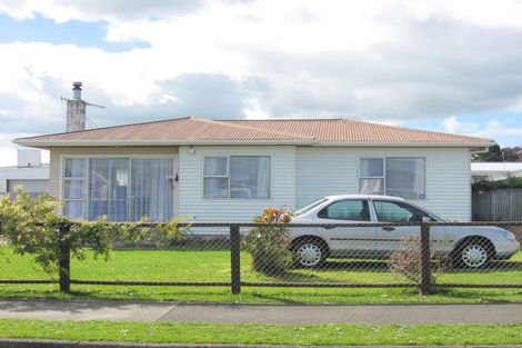 Photo of property in 21 Braemar Street, Levin, 5510