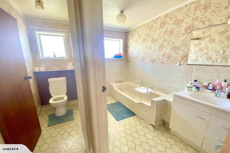 Photo of property in 53 Featherston Street, Levin, 5510