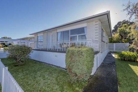 Photo of property in 36 York Street, Levin, 5510