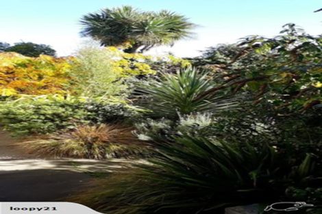 Photo of property in 29 Wilson Street, Seaview, Timaru, 7910