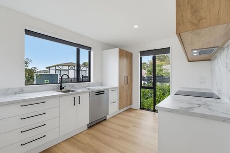 Photo of property in 57a Ruskin Street, Addington, Christchurch, 8024