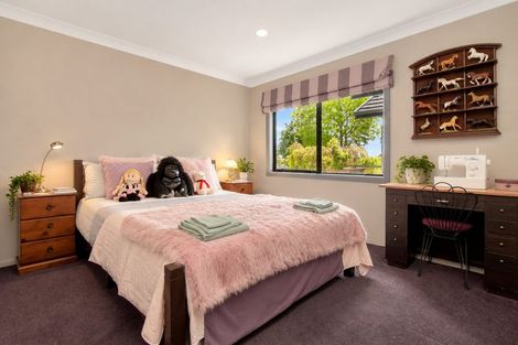 Photo of property in 119 Hollister Lane, Ohauiti, Tauranga, 3112